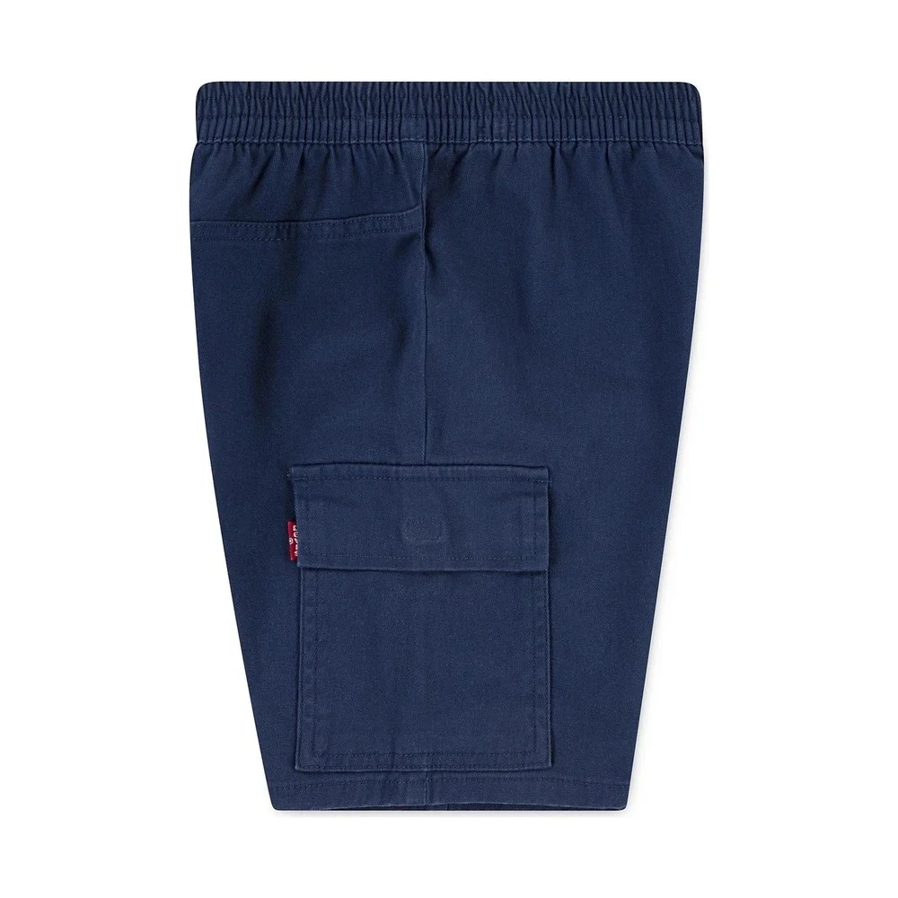 Levi's Kids Boys Blue Raglan Henley Shirt and Cargo Shorts Set Size‎ 3T /#2686
